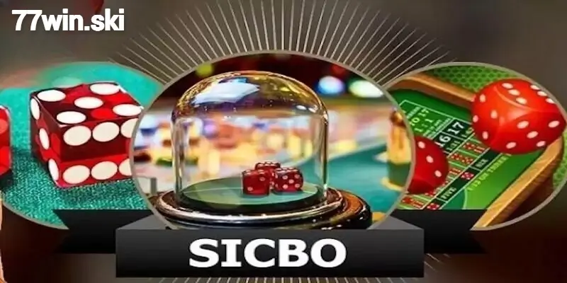 Kinh nghiệm cược Sicbo trên 77win hiệu quả