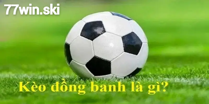 Thông tin chi tiết về kèo đồng banh tại 77win